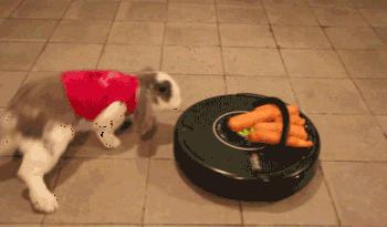 客服外包的哪些坑,为什么客服态度那么好