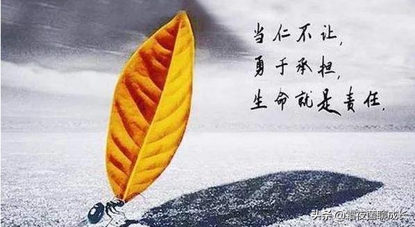 写文章的七个技巧开头,写文章如何才能做到题材新颖