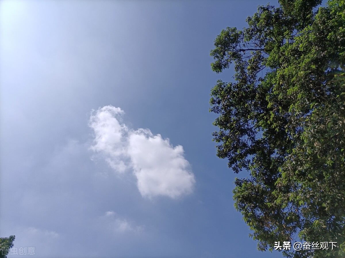 眉山经济工作会议,眉山经济分析