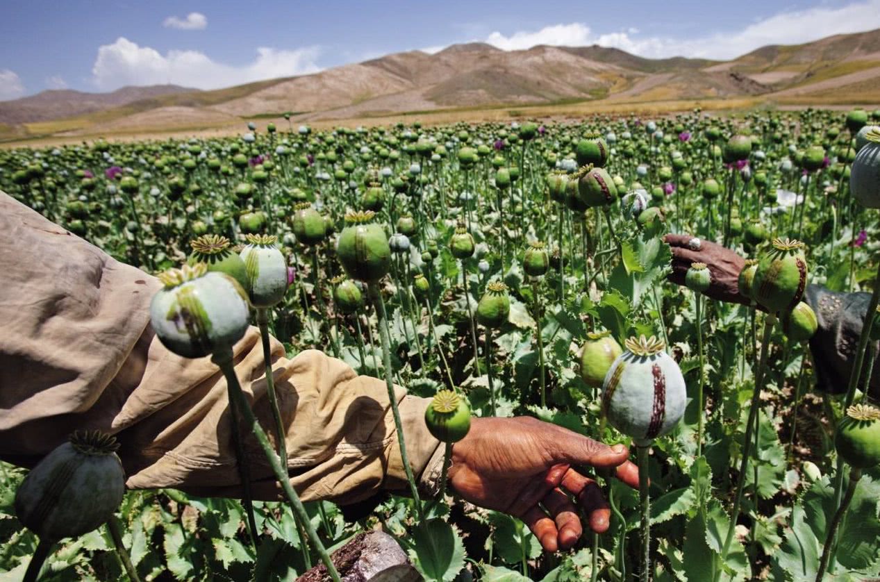 外媒评论黎巴嫩贝鲁特,黎巴嫩贝鲁特一日之内的变化