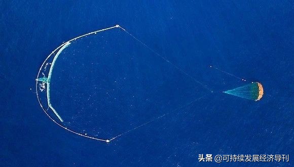 世界禁塑政策最新,全球禁塑最新消息