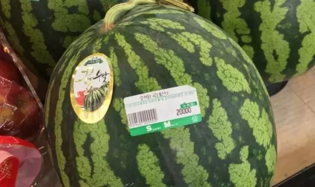 韩国同事爱上中国美食,韩国同事第一次吃中国食物