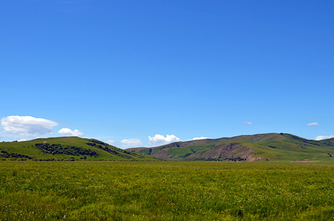 乌珠穆沁草原狼图腾,狼图腾草原魂歌曲