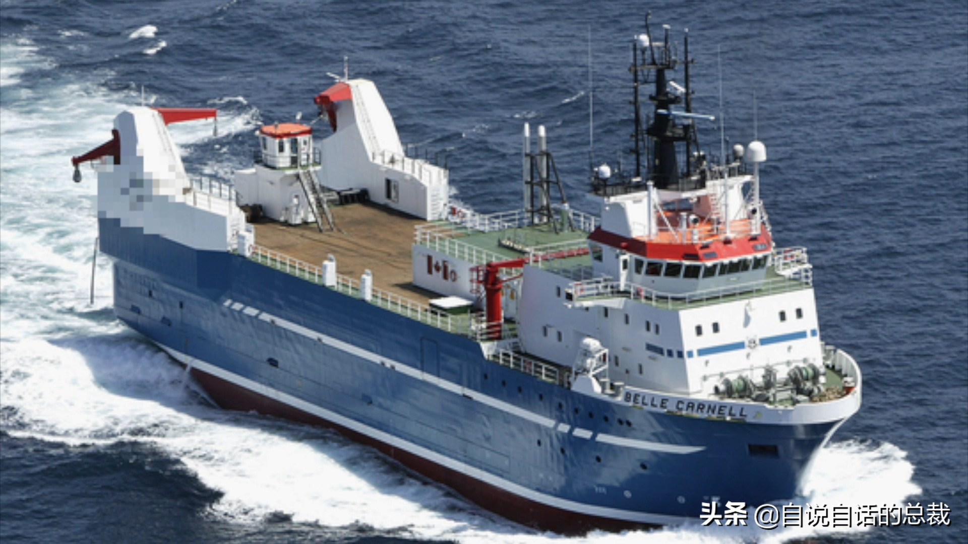 蛏子与小人蚬的区别,贻贝蛤蜊有什么区别