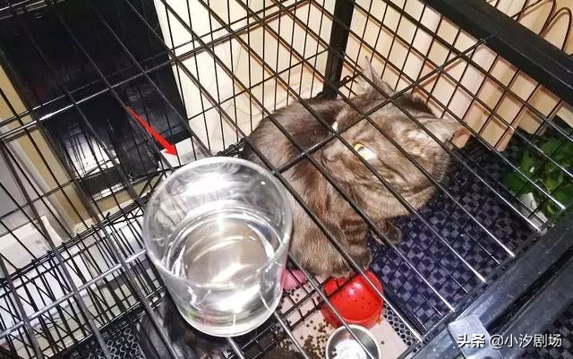 德国的黑科技，超实用的不锈钢肥皂，30秒祛除异味，一块能用十年