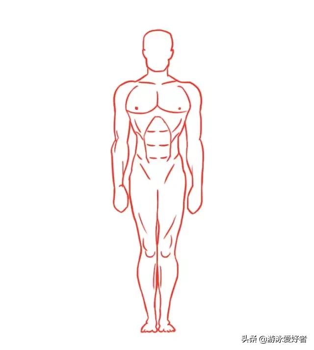 怎么游泳游得快又游得远,游泳哪种泳姿游得快