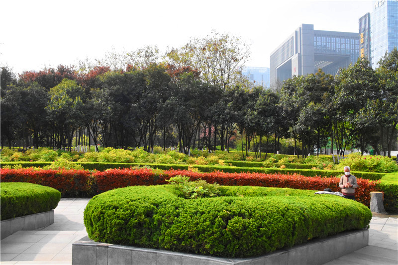 西安牡丹苑,西安牡丹苑小区