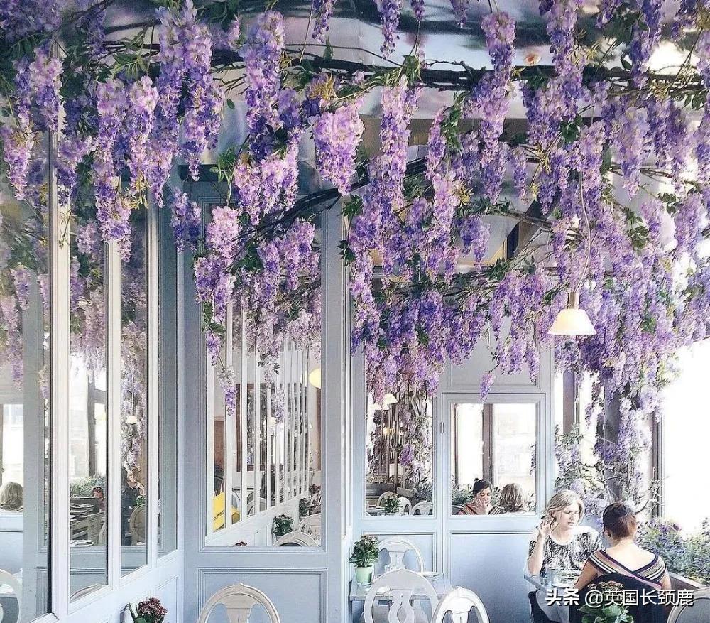 520/521：五月阳光下，伦敦依然盛放。记得常回来看看