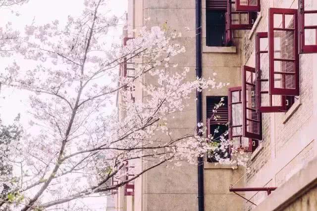 武汉21个免费景点,武汉43个免费景点出炉