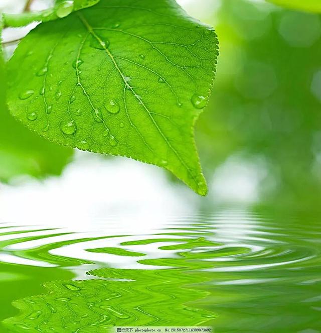 秀才遇到兵有理说不清什么意思,秀才遇到兵有理说不清的典故