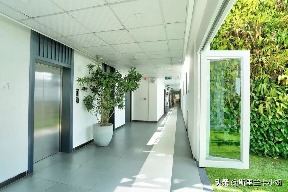 科伦坡淡山茱萸粉ins风酒店：清新艺术气质流行色不仅穿身上