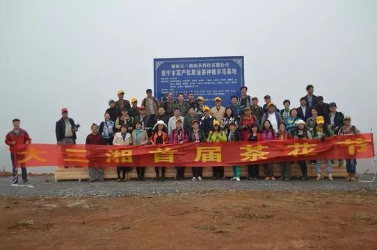 大三湘茶油销售模式,湖南大三湘茶油产业