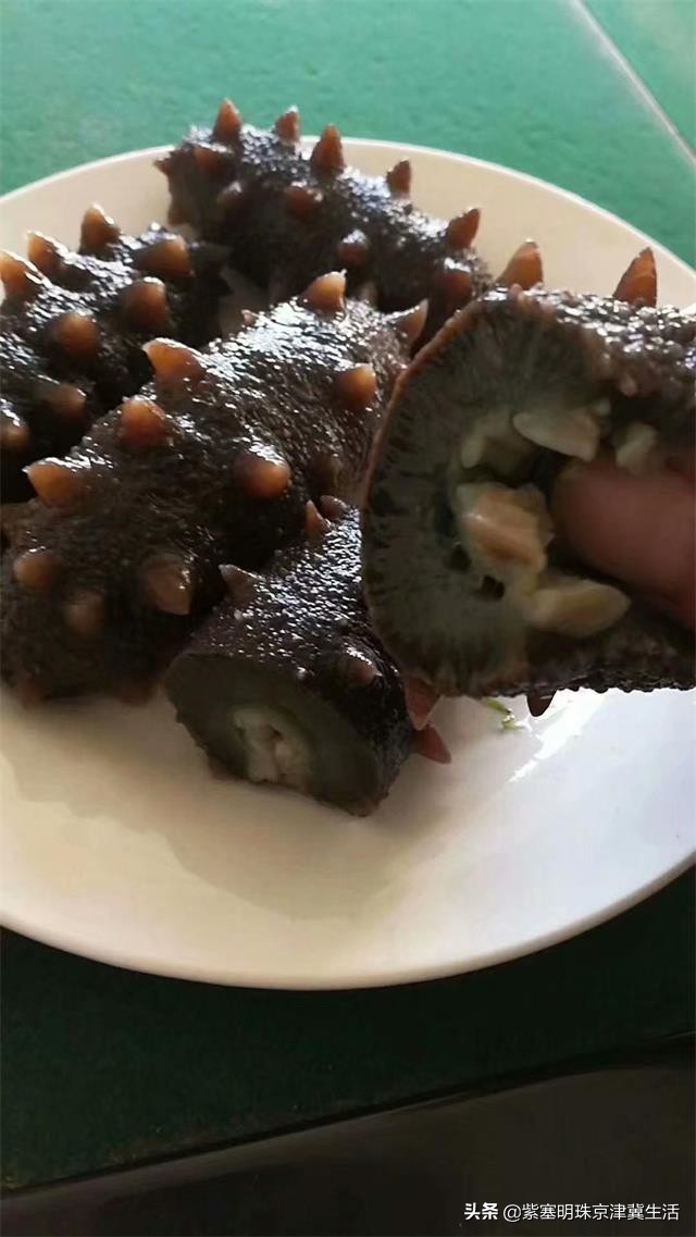 魂牵梦绕的绿色净土，真的美翻了，东戴河德福缘农家院