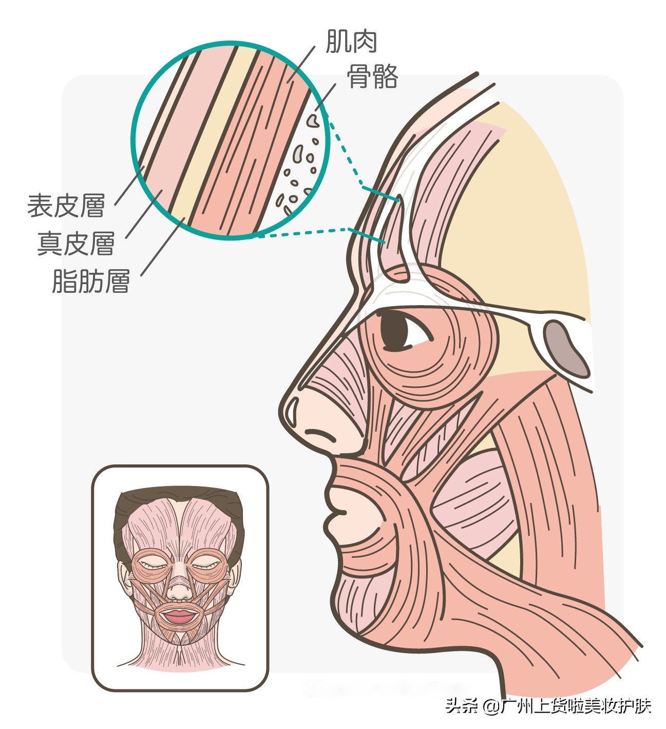 一招解决抬头纹的方法,跟抬头纹说拜拜