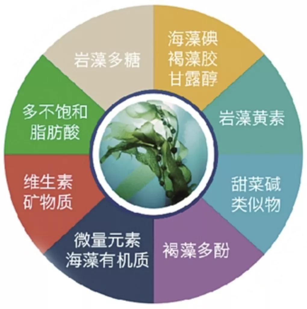 青岛崂山啤酒和青岛王子啤酒,青岛啤酒王子海藻苏打水气泡足吗