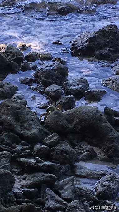 第四次来马尔代夫的感受,马尔代夫之行完整版视频