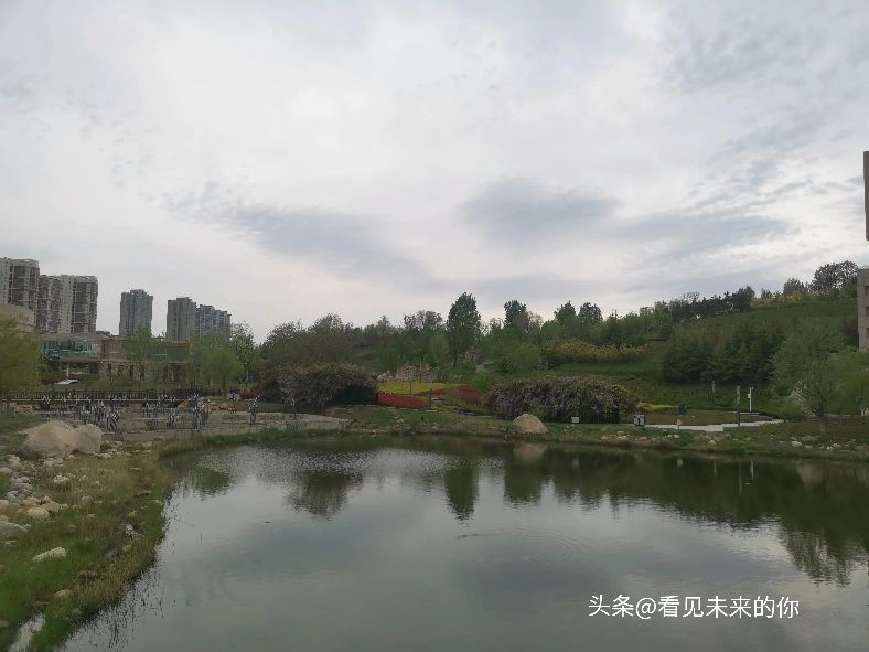 烟台开发区福莱山公园最新消息,烟台开发区福莱山公园喷泉时间