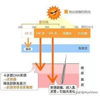 原来这么多年防晒霜都买错了,防晒霜选择要了解的要点