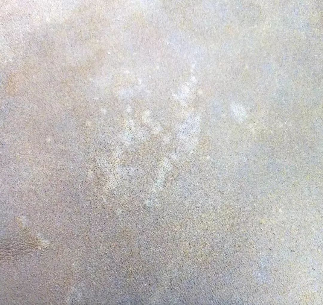 疯马皮是马皮吗,疯马皮怎么有光泽