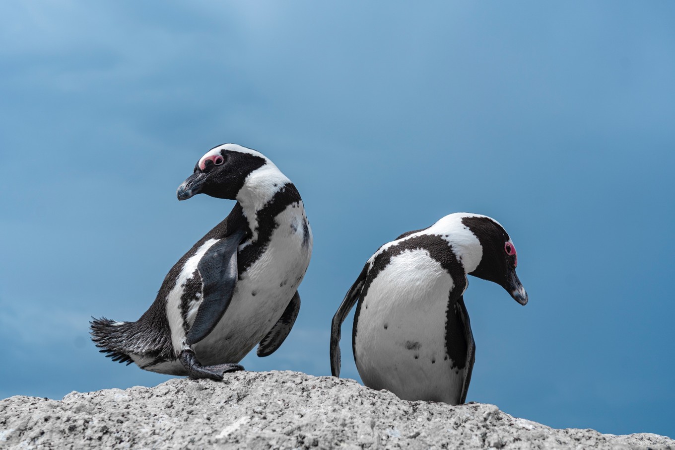 南非自驾游,南非自驾游最新