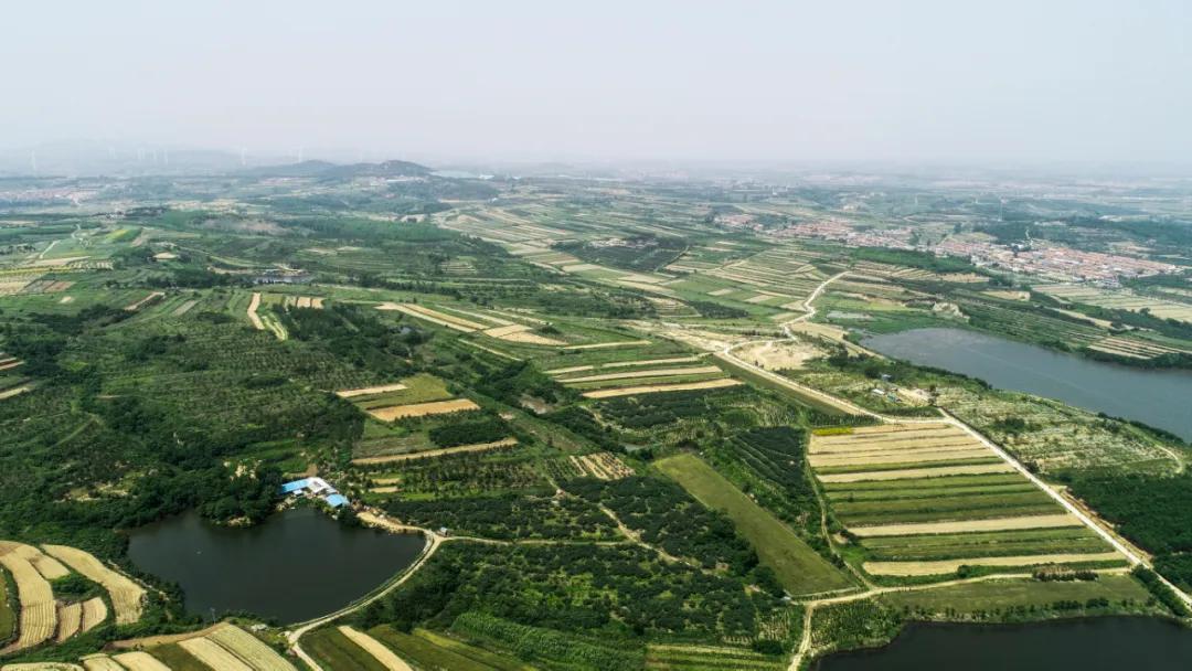 高质量发展项目清单,高质量发展项目汇报