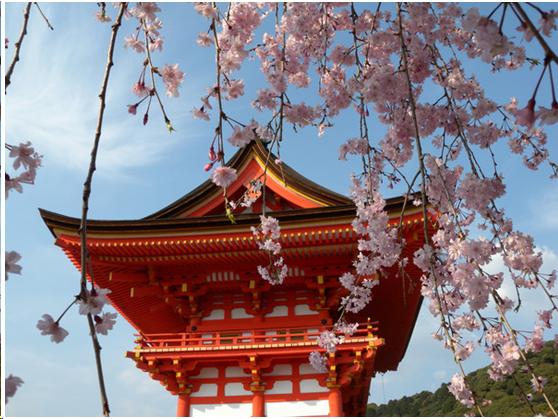 来到日本不能错过章鱼小丸子,去京都不可错过的和服体验