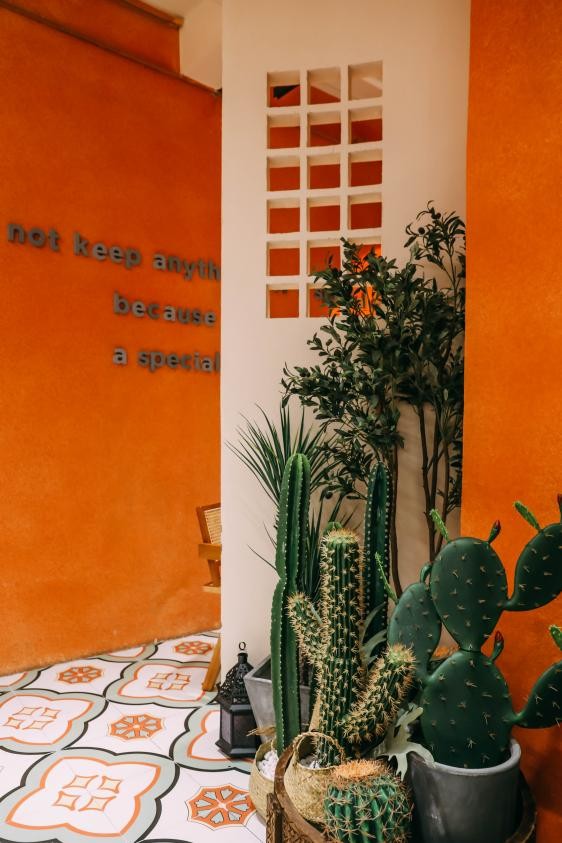 深圳南山希尔顿逸林酒店一室一厅,南山希尔顿逸林酒店介绍