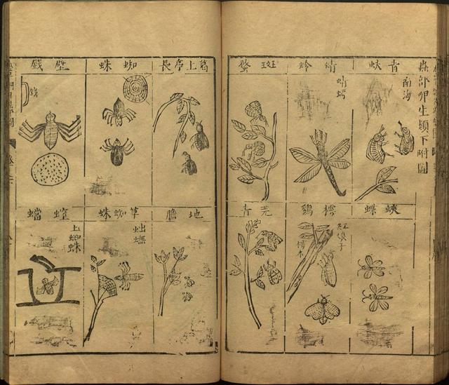 李时珍与本草纲目ppt课件,神农本草经正版李时珍书籍