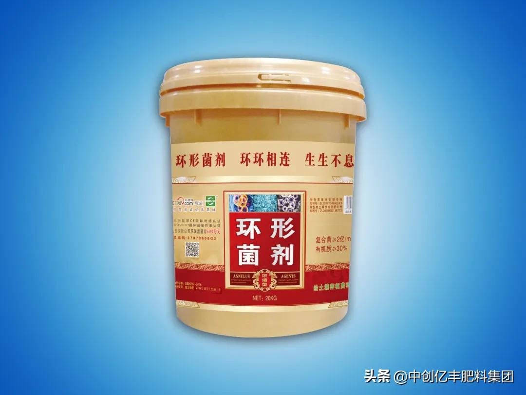 杨梅病虫害用什么农药好,杨梅病虫害防治什么时间