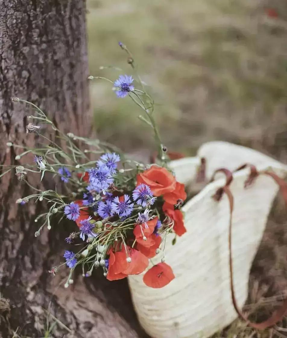 成年人结束一段关系的方式是什么,如何结束一段暧昧不清的关系