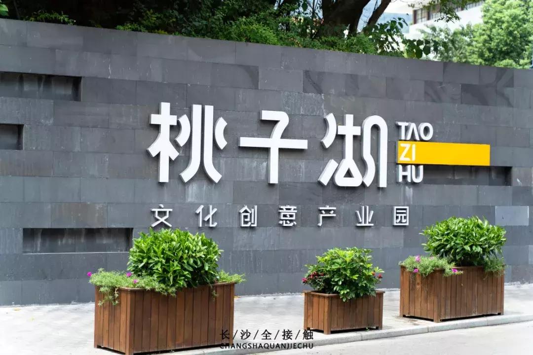 长沙最青春公交，串联6所大学的记忆