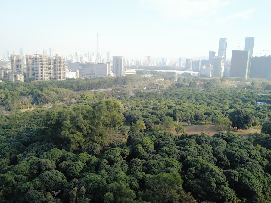 香蜜湖楼盘车位情况,香蜜湖车库