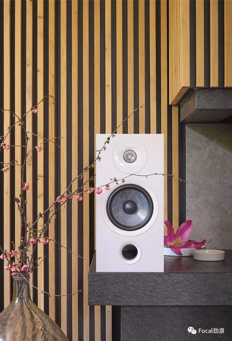 focal书架音箱,focal806音箱