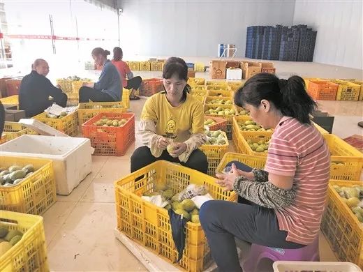 梧州东融状况,梧州东融战略是什么