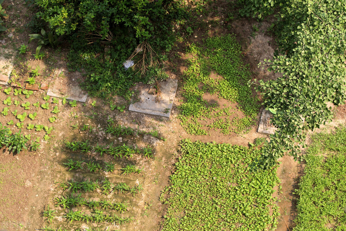 农村自留地征收补偿归个人合法吗,国家征收自留地补偿最新政策