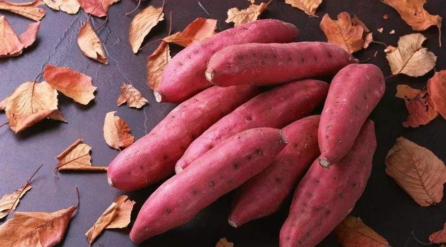 喝红酒忌口食物是什么食物,喝红酒不能和什么食物一起吃