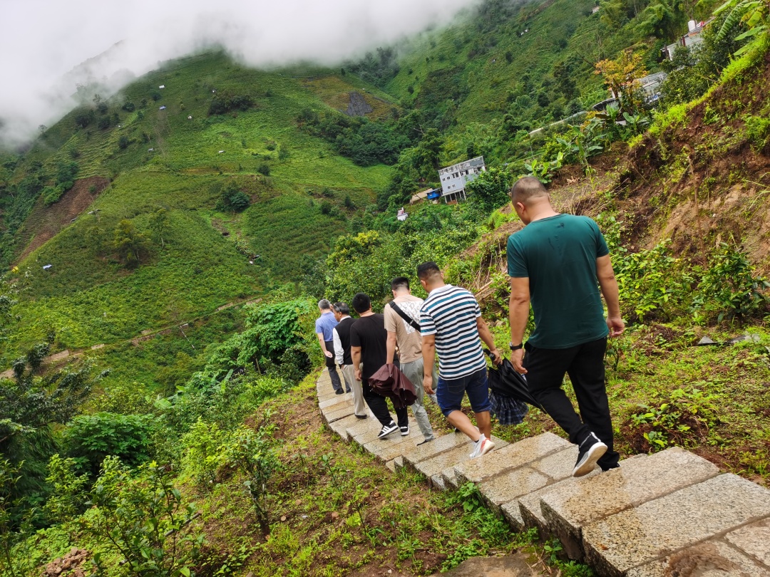 浜戝崡涓尪鑼朵笟鏈夐檺鍏徃鏂伴椈,浜戝崡涓尪鑼朵笟鏈夐檺鍏徃鐢熶骇鍩哄湴