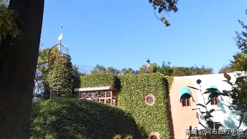 东京三鹰之森吉卜力美术馆怎么去,三鹰之森吉卜力美术馆到成田机场