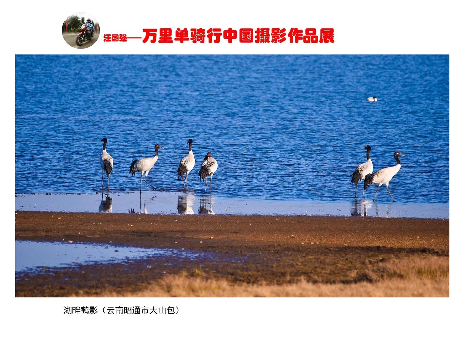 贵州大学1984级管科系同学欢聚毕节录