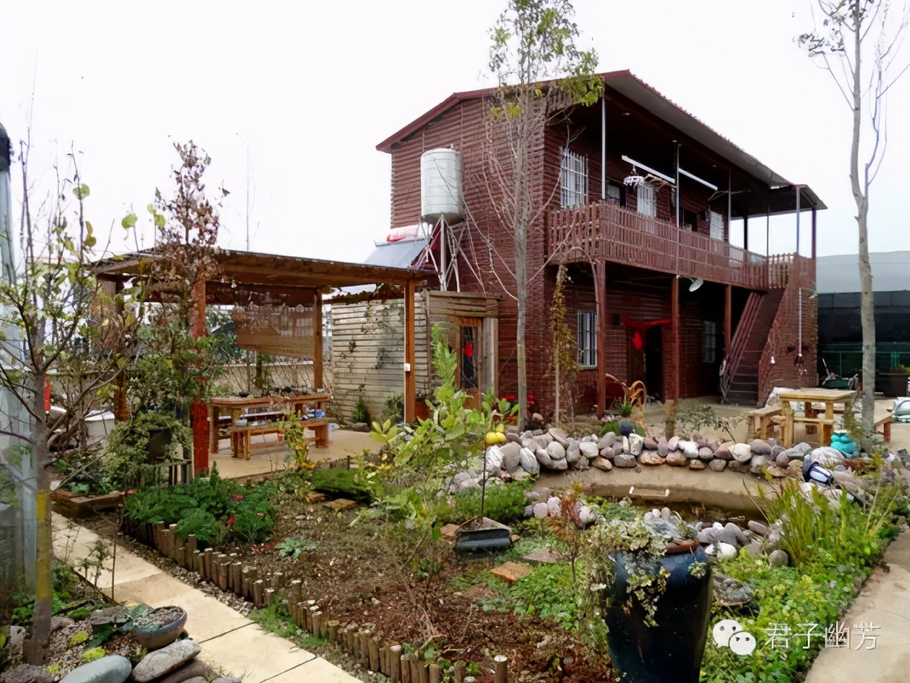 莲瓣兰心心相印种植基地,心心相印莲瓣兰谁种得最多