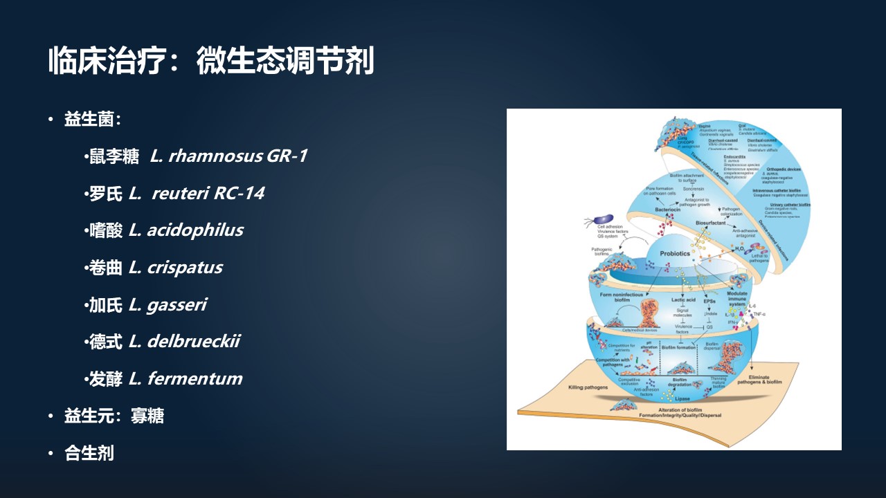 肖冰冰,肖冰冰的创作