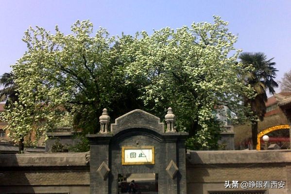 西安人文：历史角落里的“西安七大公馆”