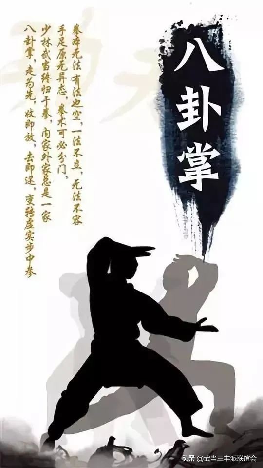 八卦掌步法走九宫步还是八卦步,太极八卦掌技法图解大全