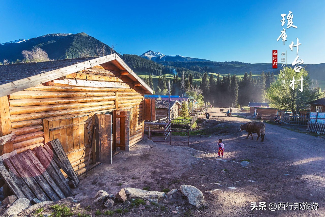 哼，又想「骗」我去*疆新**旅游！