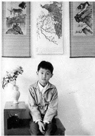 马化腾鹅厂坊间八卦,马化腾鹅厂在哪里