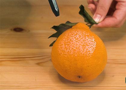 手持蒸汽清洁机,140℃高温高压去污渍,轻松满足家庭清洁需求