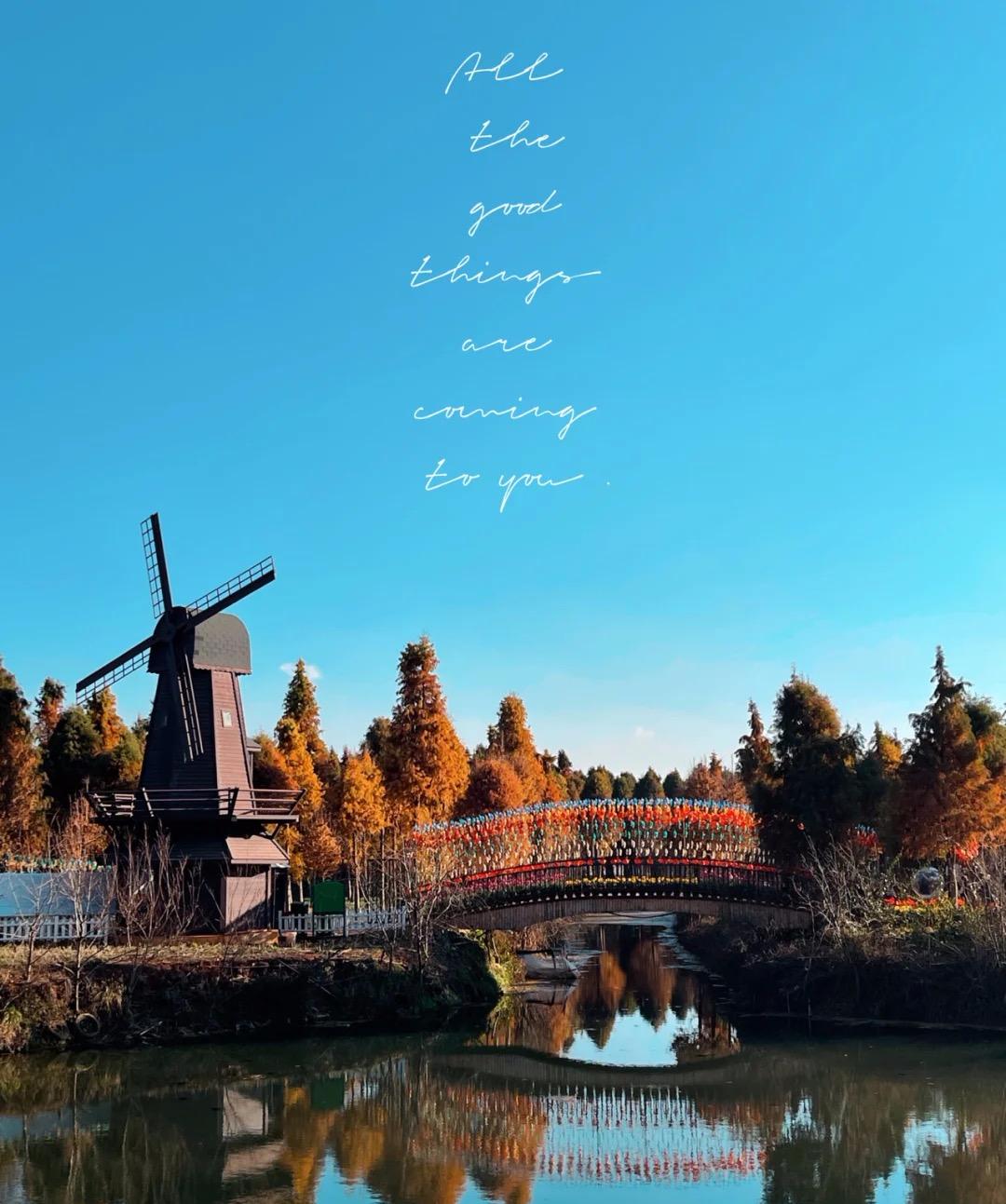 昆明亲子游自驾游攻略推荐路线,昆明周末亲子游十大好去处