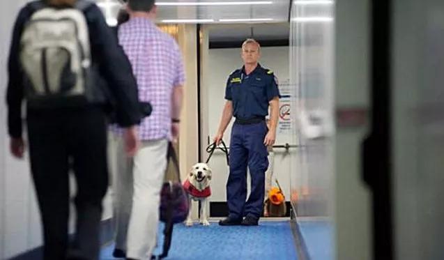 过海关被拉进小黑屋会发生什么,过海关被关进小黑屋怎么办