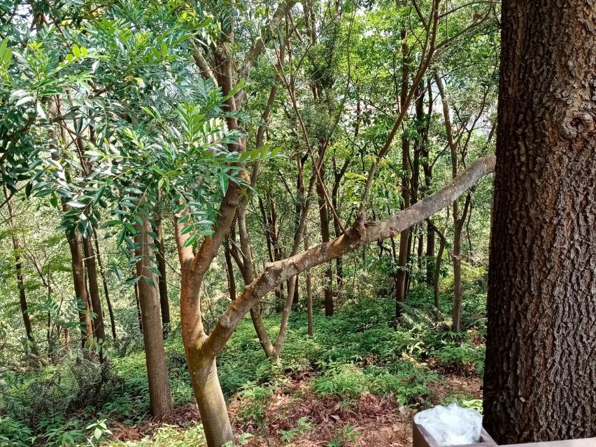 芳姐最后的下场,芳姐到底有没有死