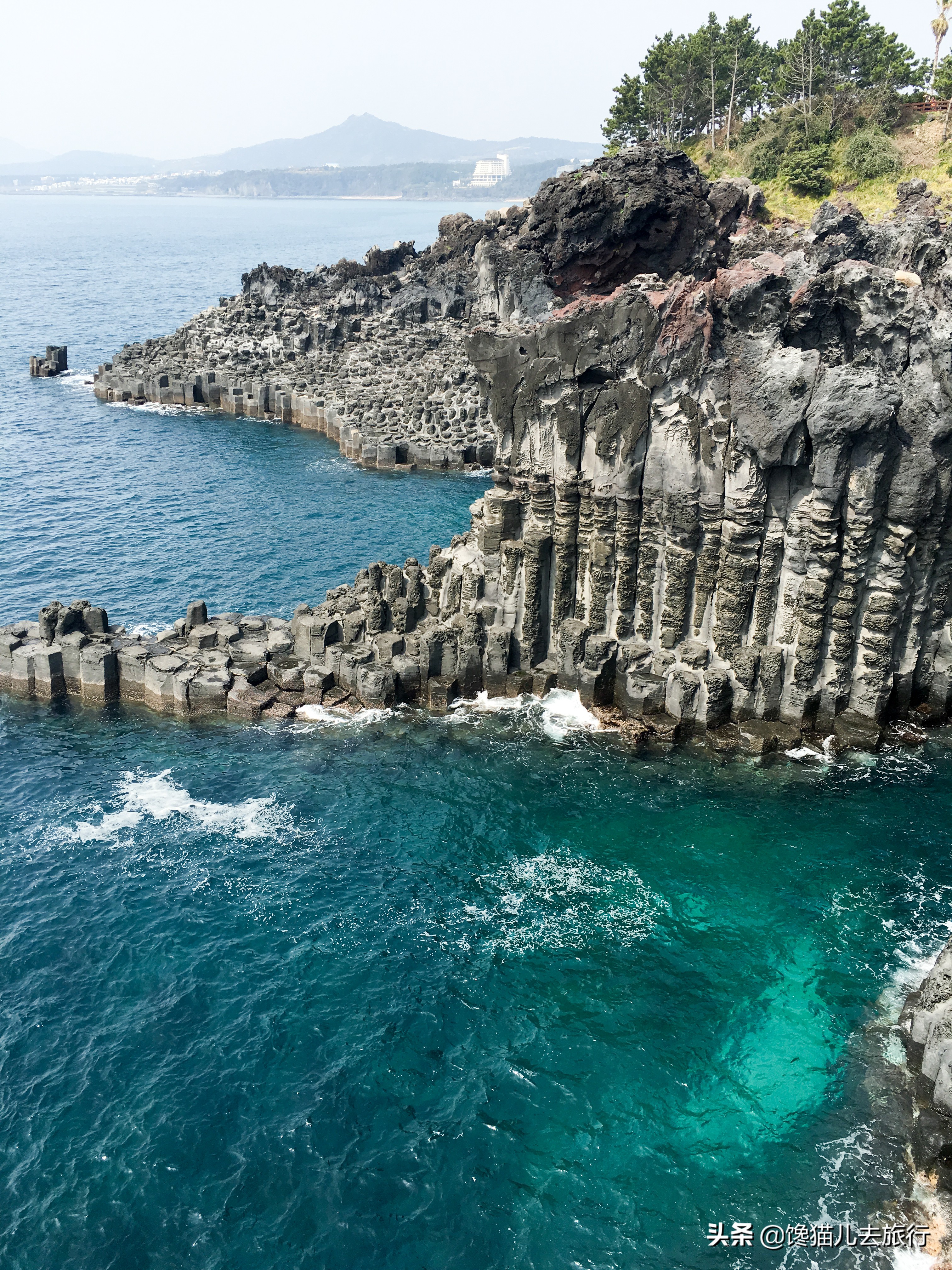 韩国人“看上”青岛，网友：对不起，我们不约